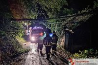 _2024-09-16 Baum über Straße Brunnberg-225734